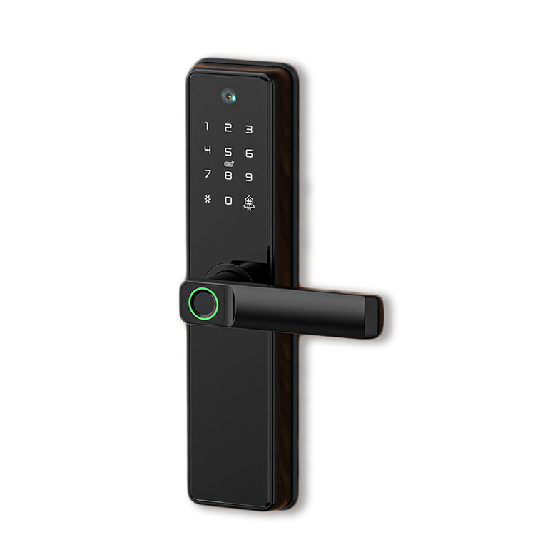 Biometric Fingerprint Smart Lock—FM B2