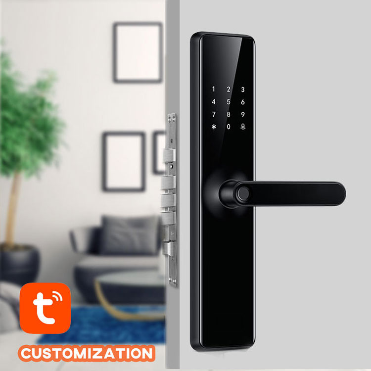 Smart Digital Door Lock—FM 590